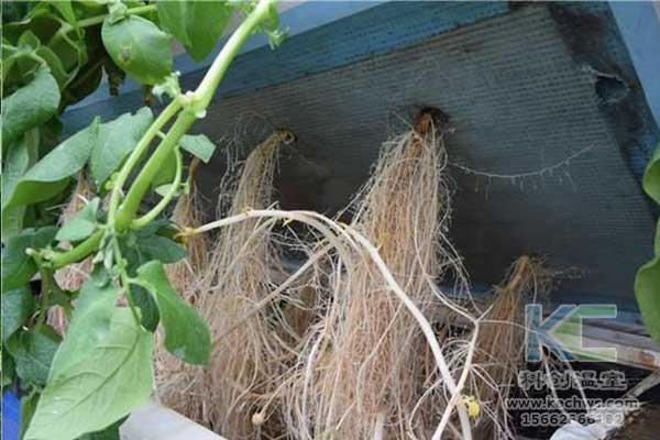 無(wú)土栽培，無(wú)土栽培技術(shù)，無(wú)土栽培設備