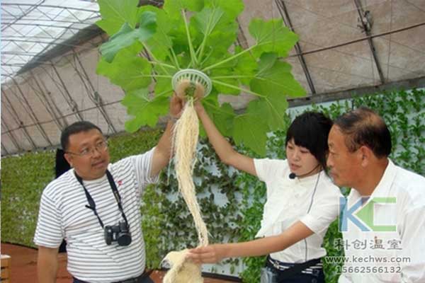 無(wú)土栽培，無(wú)土栽培技術(shù)，無(wú)土栽培設備